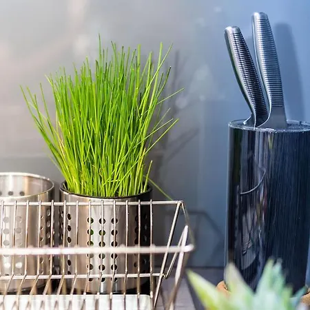 Apartment,private Parking, Balcony, Smart Check In Διαμέρισμα